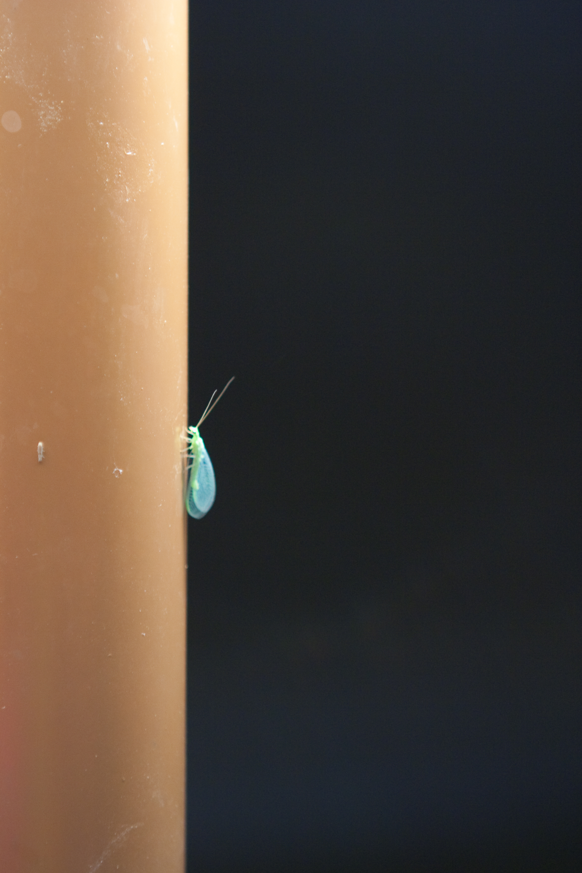 vakantie 2009 dronken bij de tent-001.jpg